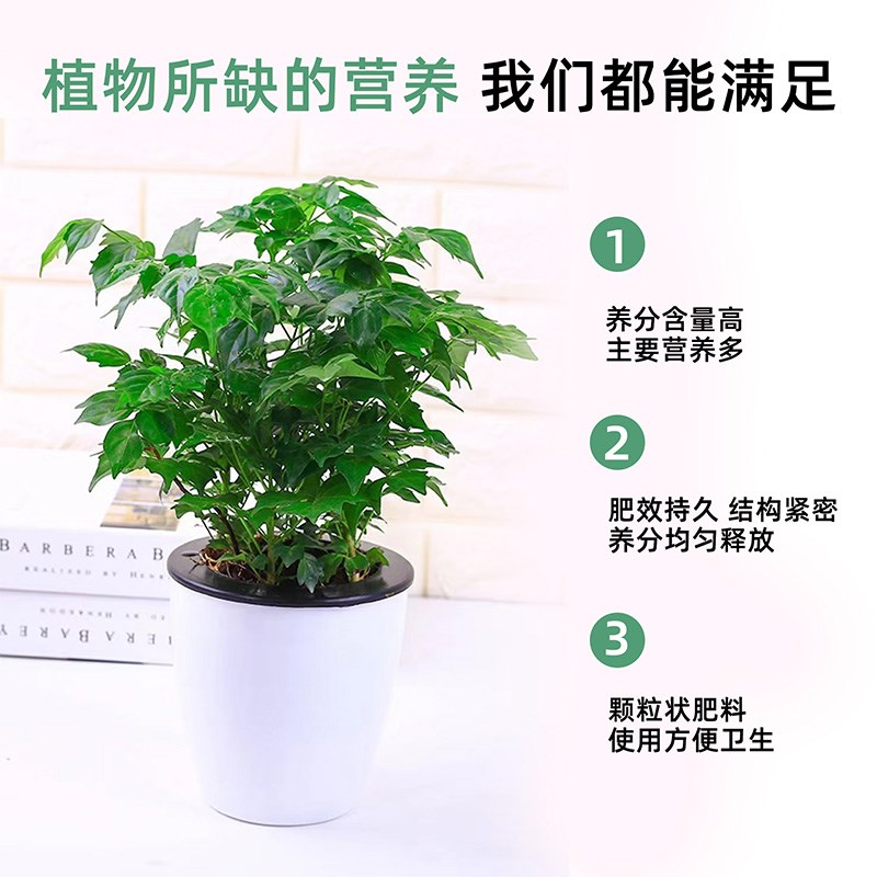 幸福树专用肥料幸福树掉叶子专用肥专治黄叶枯叶氮U磷钾复合花肥