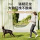 狗狗牵引绳e自动伸缩防爆冲中小型犬宠物遛狗绳防挣脱猫咪外出神