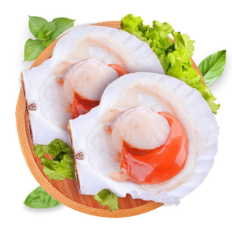 虾夷扇贝带壳超大冷冻半壳扇贝肉海鲜烧烤美食蒜蓉粉丝元贝类2斤