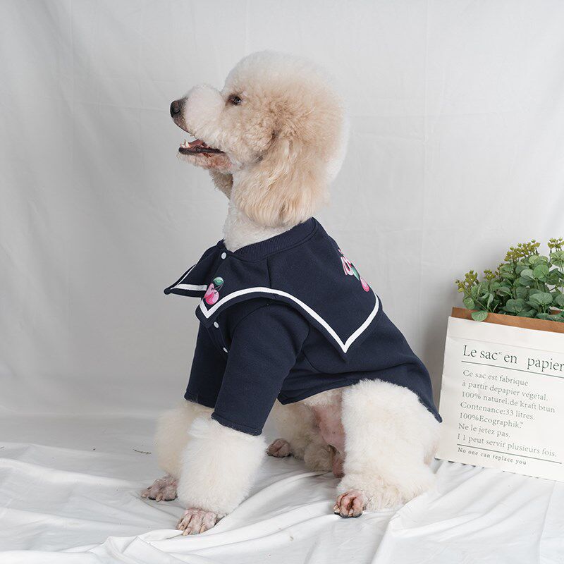 ins可爱大型犬衣服拉布拉多金毛萨摩耶巨贵衣服秋冬宠物大狗卫衣