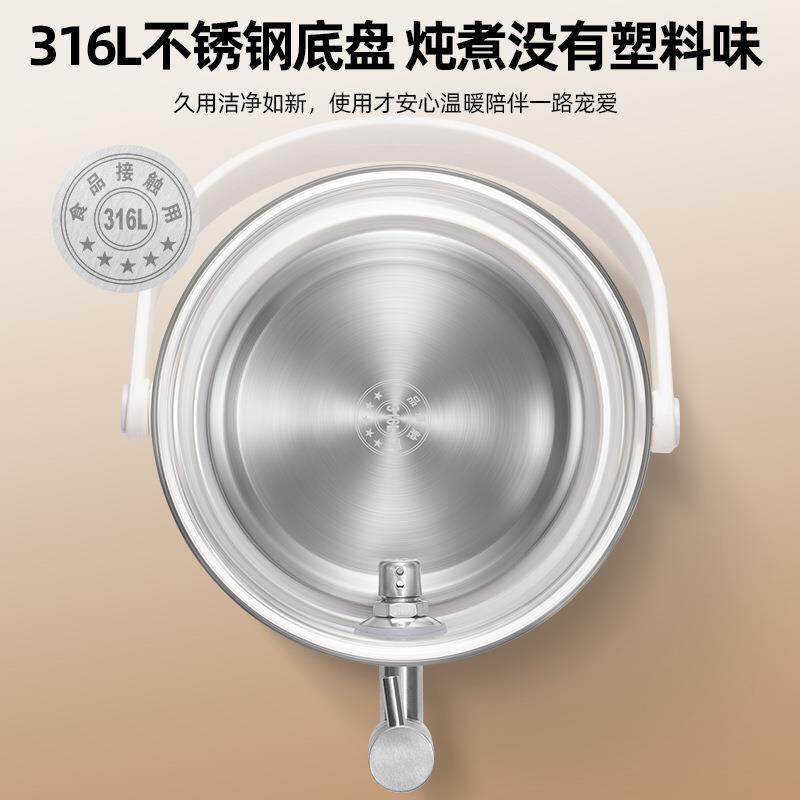 110V美规316不锈钢养生壶带茶漏家用炖煮茶一体烧水花茶恒温水壶