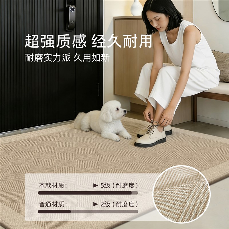 入户门地垫高级耐脏门垫新款门内进门脚垫室内门口玄关可裁剪地毯