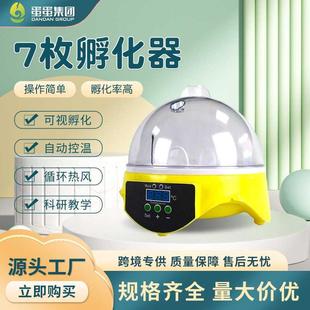家用智能鸡蛋孵化器孵蛋机 HHD7枚半自动小鸡孵化机养鸡设备