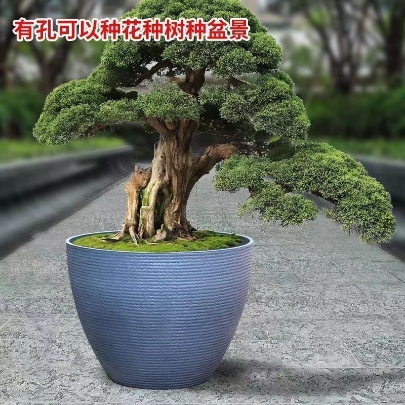 荷花加厚塑料花盆特大号树脂室内养鱼种树睡莲专用陶瓷鱼缸庭院