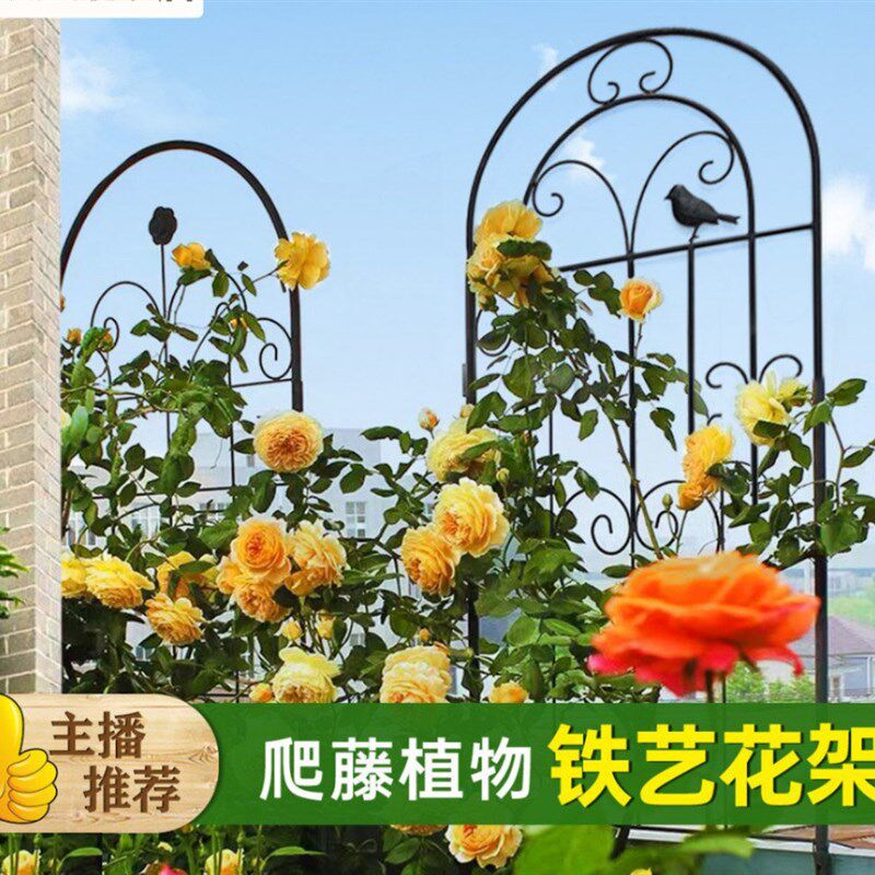 绿萝花架月季花爬藤架子插地蟹爪兰植物支撑杆铁艺多层园艺支架柱