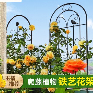 绿萝花架月季花爬藤架子插地蟹爪兰植物支撑杆铁艺多层园艺支架柱