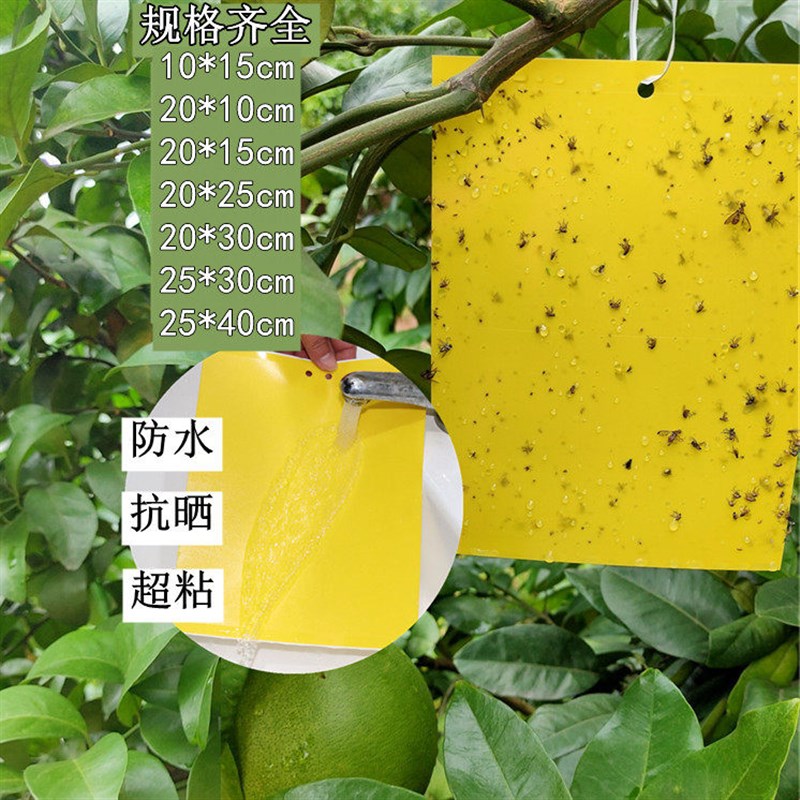 双面粘虫板黄板蓟马蓝板特粘诱虫板大棚果园茶园沾飞虫粉虱贴针蜂
