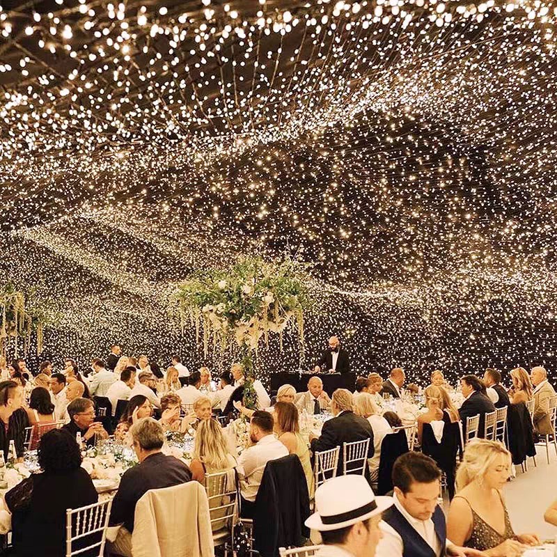 婚礼星空顶灯带渔网星空网灯满天星气氛灯婚庆吊吸顶灯吊灯结婚彩