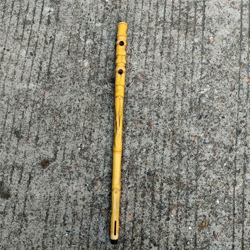 手工紫竹京胡琴杆带轴娃娃调正圆京胡担子西皮青衣大二黄黄杨轴