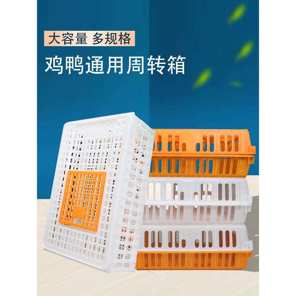 加厚鸡框成鸡运输笼鸡用周转箱运输鸡笼塑料运输框鸡鸭鹅运输笼子