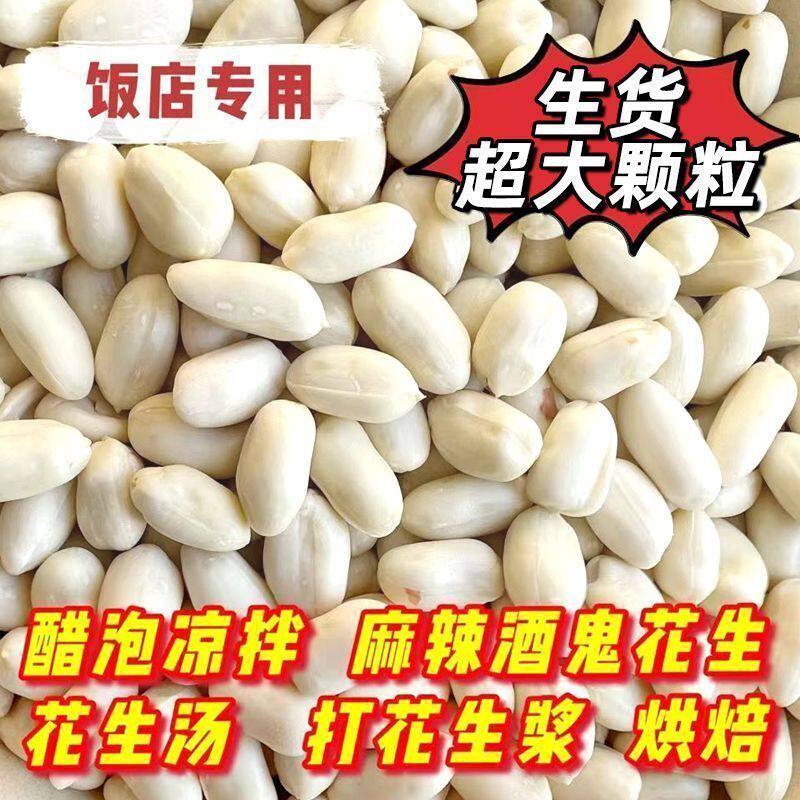 26年新货去皮生花生米大颗粒脱皮花生仁批发花生汤烘焙原料去皮