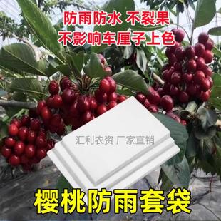 大樱桃专用防雨防裂果纸套袋神器包烟台美早大尺寸白纸车厘子遮罩