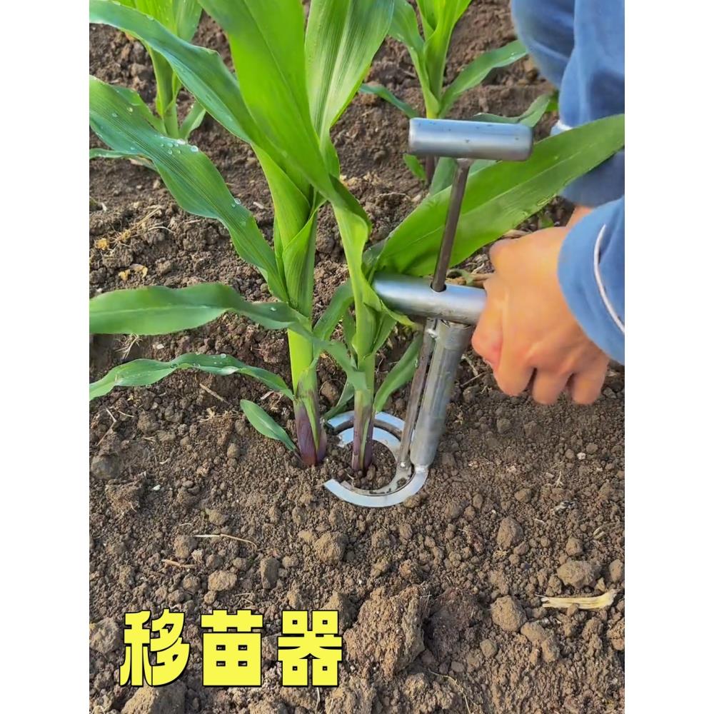 移苗栽苗器不锈钢移栽神器种菜打孔器秧苗泥土打洞器玉米起苗工具