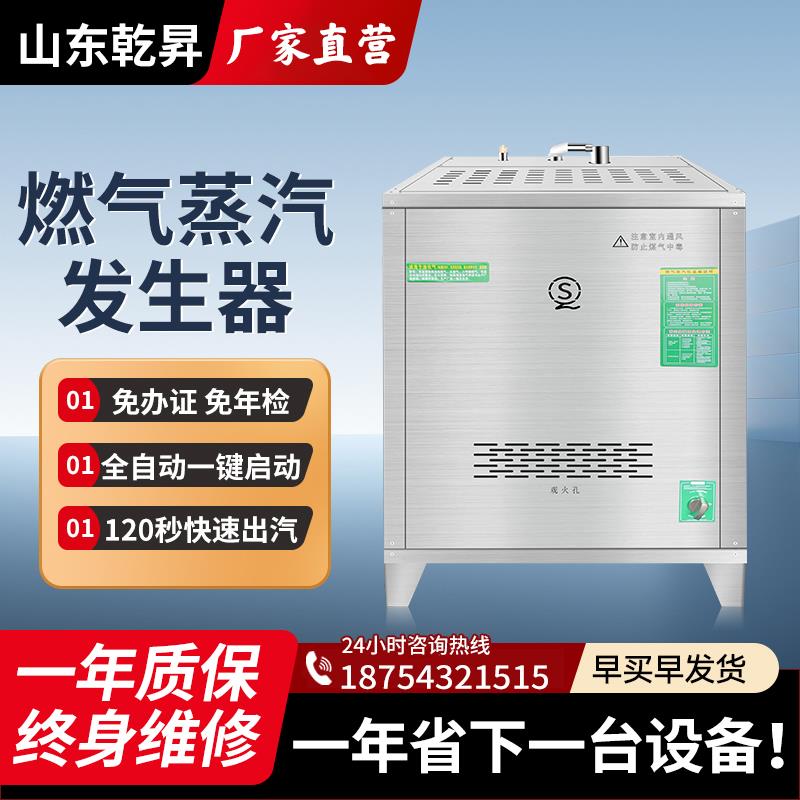 商用燃气蒸汽发生器酿酒蒸馒头煮豆浆豆腐液化天然气自动蒸汽锅炉