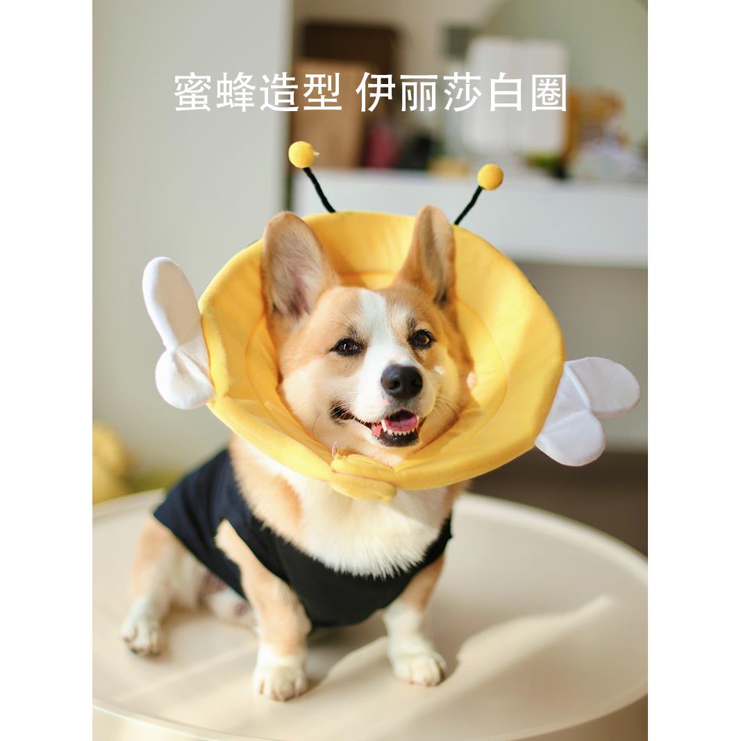 宠物伊丽莎白圈加深狗狗防咬防舔防水头套软耻辱脖圈柯基绝育用品