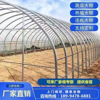 温室大棚钢管骨架热镀锌种植蔬菜养殖棚椭圆管联动简易暖棚全套