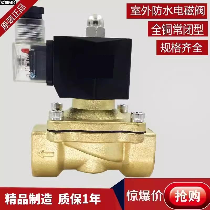 全铜室外防水防潮常闭电磁水阀 气阀 AC220V DC24V 4分6分1寸包邮