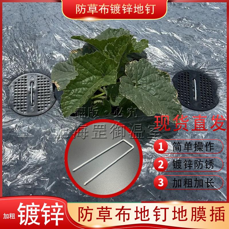 大棚配件防草布地钉加粗加长除草布地膜打孔卡扣U型镀锌地插地锚