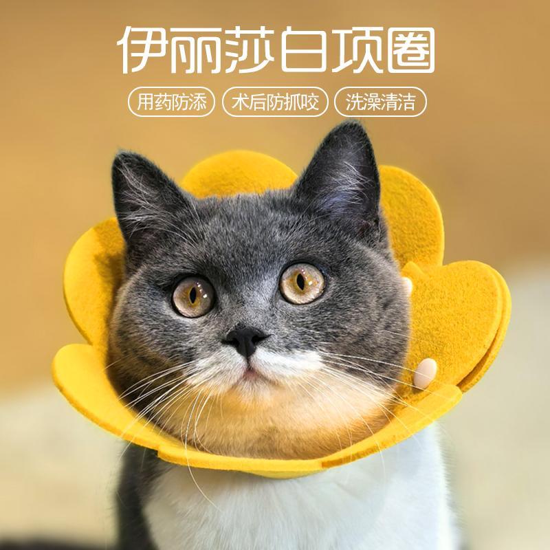 太阳花伊丽莎白圈猫咪绝育防舔颈圈毛毡防水头套狗狗脖圈宠物用品
