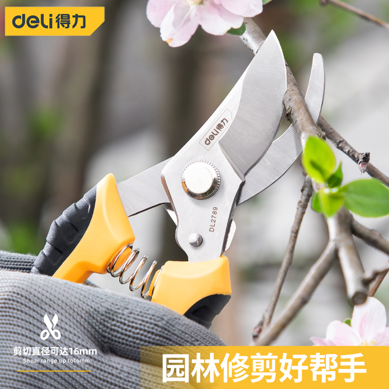 得力工具剪枝修枝剪刀果树园林园艺剪修剪树枝花艺剪省力大粗枝剪
