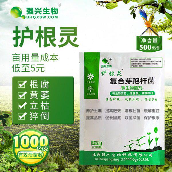 护根灵芽孢杆菌0瘟农业亿/克根腐枯萎微生物烂根姜10种植0复合菌