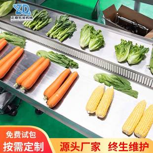 W250能蔬菜料枕式 干月饼枕糖果食品包装 包装 饼式 机物设 机 多功ZD