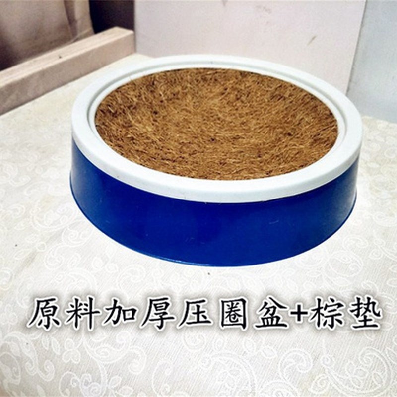 极速鸽子a用品用具鸽子窝草窝信鸽用品鸽具孵蛋窝脚环塑料巢盆鸟