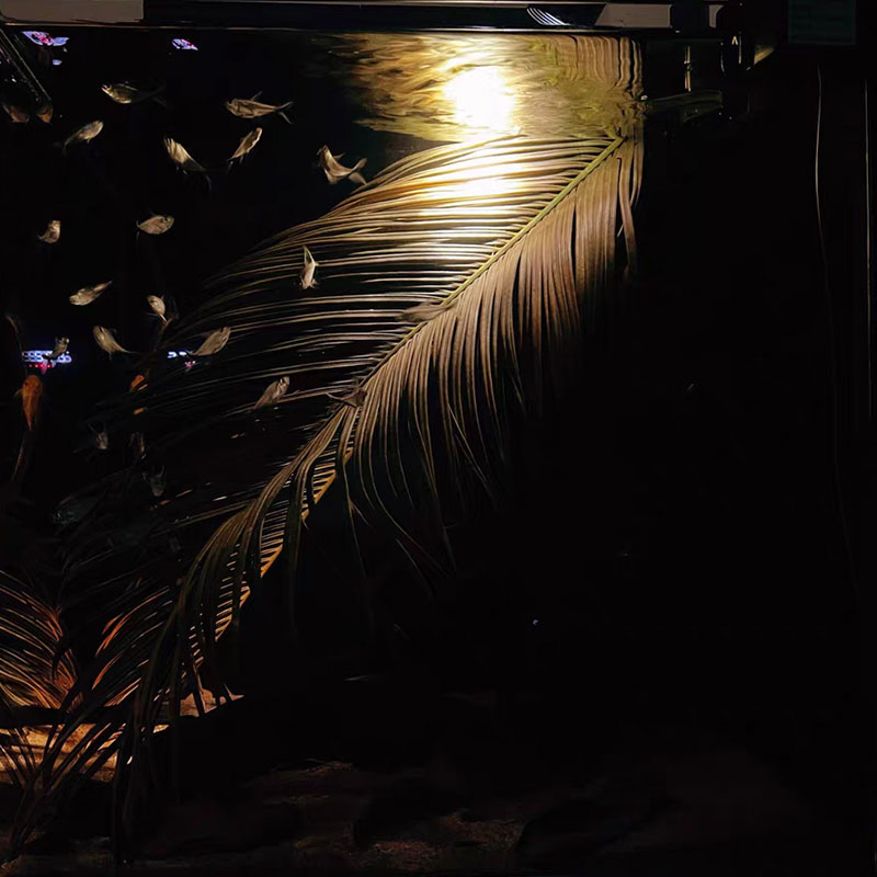 极速买一送1 天然m铁树叶简易鱼缸造景南美缸原生缸装饰树叶网红