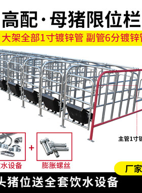 母猪定位栏猪用半限位栏养猪场设备落地订位围栏杆猪圈漏粪板配件