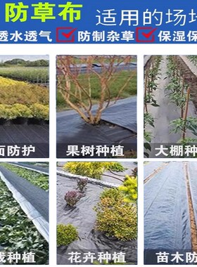 90克抗老化防草布园艺地布果园果树透水遮草盖草布透气大棚除草布