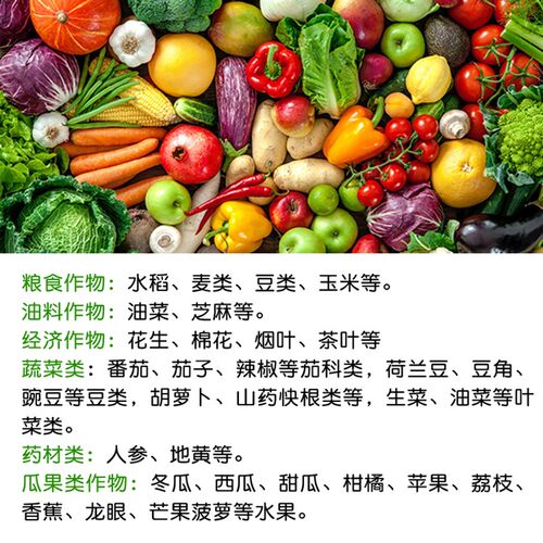 大包装锌镁硼铁钙微量元素叶面肥多种微量元素水溶肥瓜果蔬菜花卉