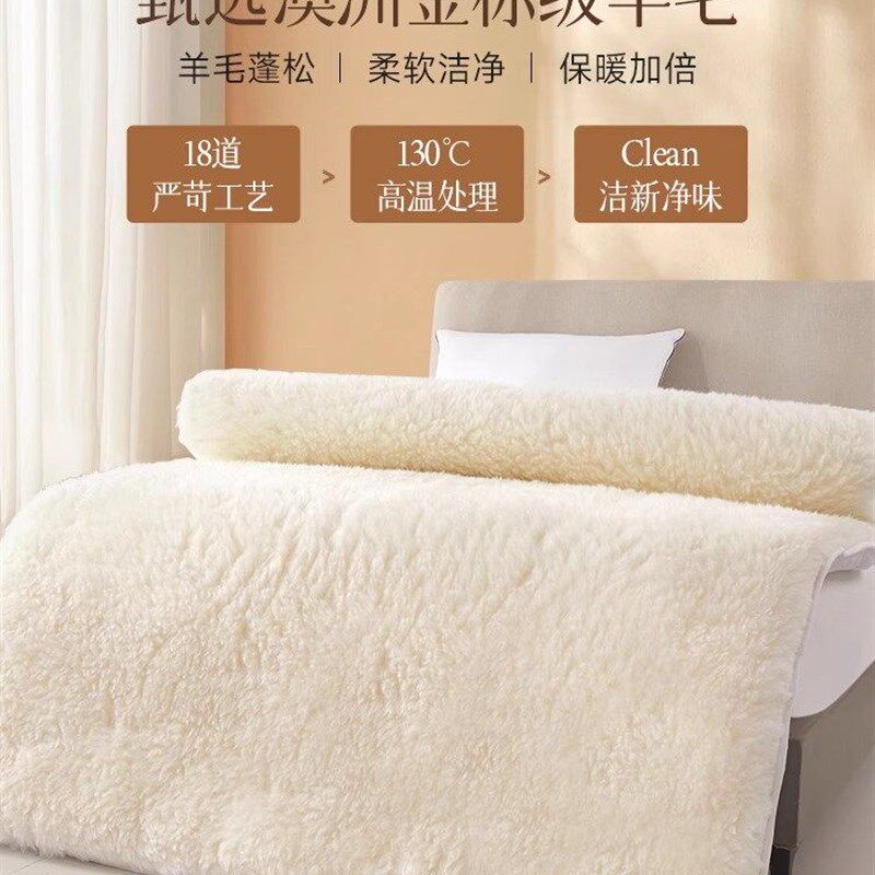 IVUGII羊毛床垫软垫家用床褥垫冬季羊羔绒毛毯冬天加厚保暖垫被子