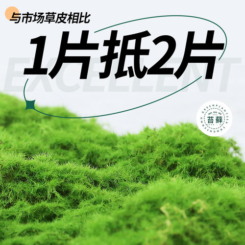 仿真植物造景配材仿生苔藓假绿植青苔铺面加大加厚盆景装饰草皮