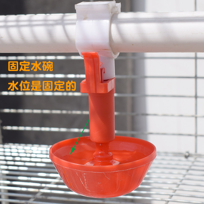 新型育雏水碗 雏鸡自动饮水器乳头饮水碗 接水杯小鸡育雏水碗养殖