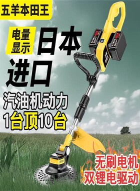 新疆包邮电动割草机充电式割草机大功率家用无线锂电除草机进口除