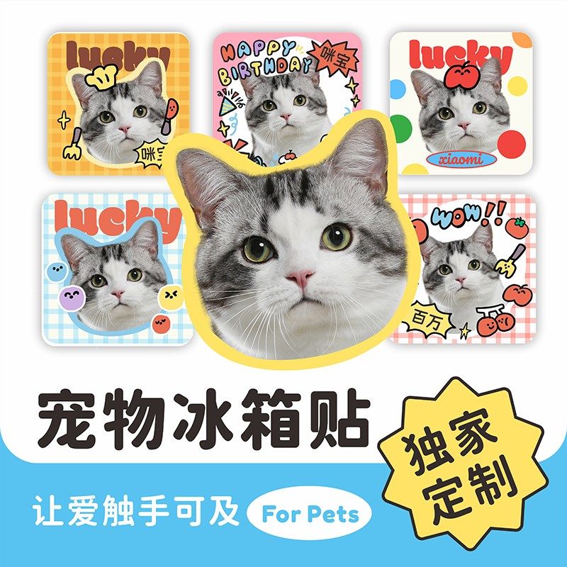 亚克力冰箱贴定制宠o物猫咪狗狗大头肖像照片磁性贴纪念礼物冰箱
