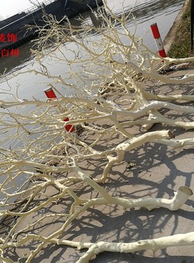 干树枝去皮原木树干枯树枝带分枝A带杈树枝室内挂灯干花插花瓶装