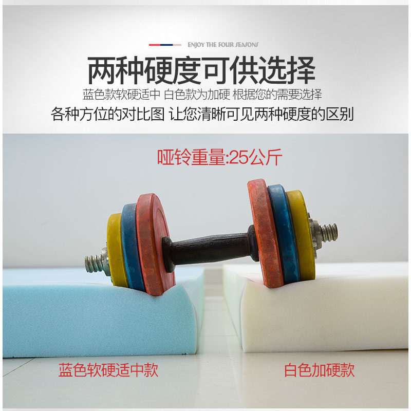 高密度海b绵床垫软垫家用租房专用学生宿舍单人垫被榻榻米硬垫定