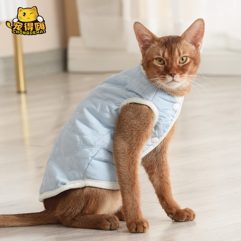 猫咪衣服冬季保暖幼猫布s偶豹猫宠物加绒棉服防掉毛小猫外套可牵