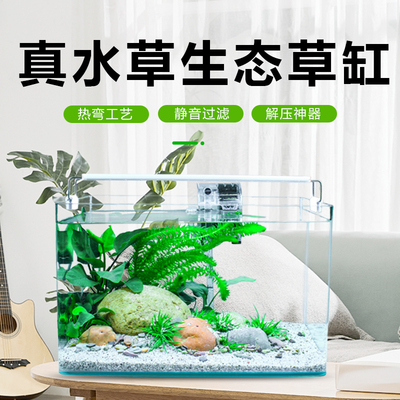 免换水鱼缸造景全套微r景观客厅小型家用生态鱼缸水草玻璃金鱼缸