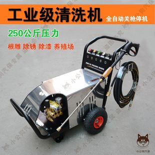 黑猫380V工业清洗机超高压250公斤喷砂除漆养殖场根雕除漆冲厂家