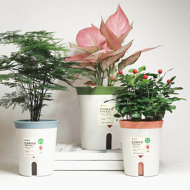 家用懒人花盆自动吸水盆 圆形桌面绿萝植物花卉盆栽塑料蓄水盆