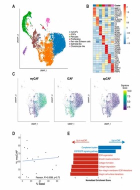 r代做 rstudio统计分析 python 计量经济辅导 r语言代做 数据清洗