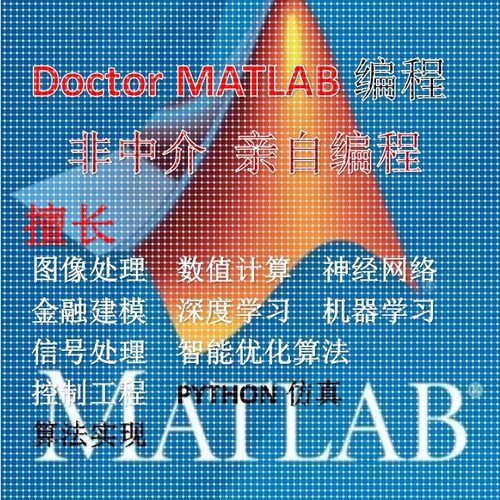 matlab代码帮做代编程序开发代码复现算法仿真编写深度机器学习