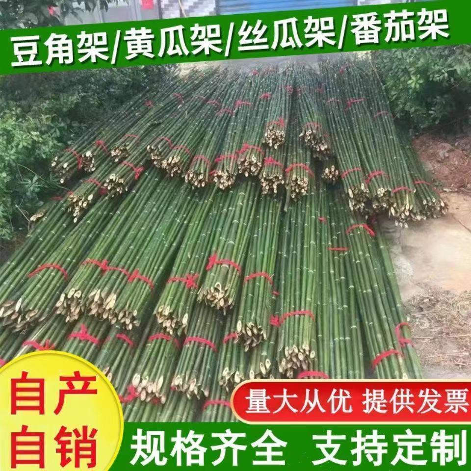 竹竿菜园搭架竹子户外旗杆黄瓜豆角爬藤菜架竹杆支架豇豆搭架杆
