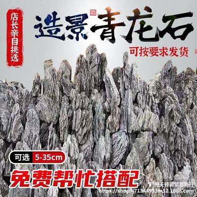 青龙石装饰假山原石酸洗英德石片鱼缸草缸造景石盆景附石园林景观