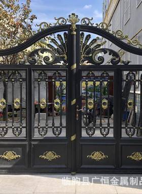 双开乡村门铝艺大门别墅农村乡村门临朐门窗