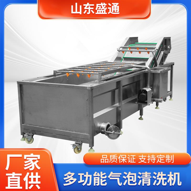 新品上市柠檬清洗打蜡机速冻蓝莓加工设备多功能果蔬气泡清洗机