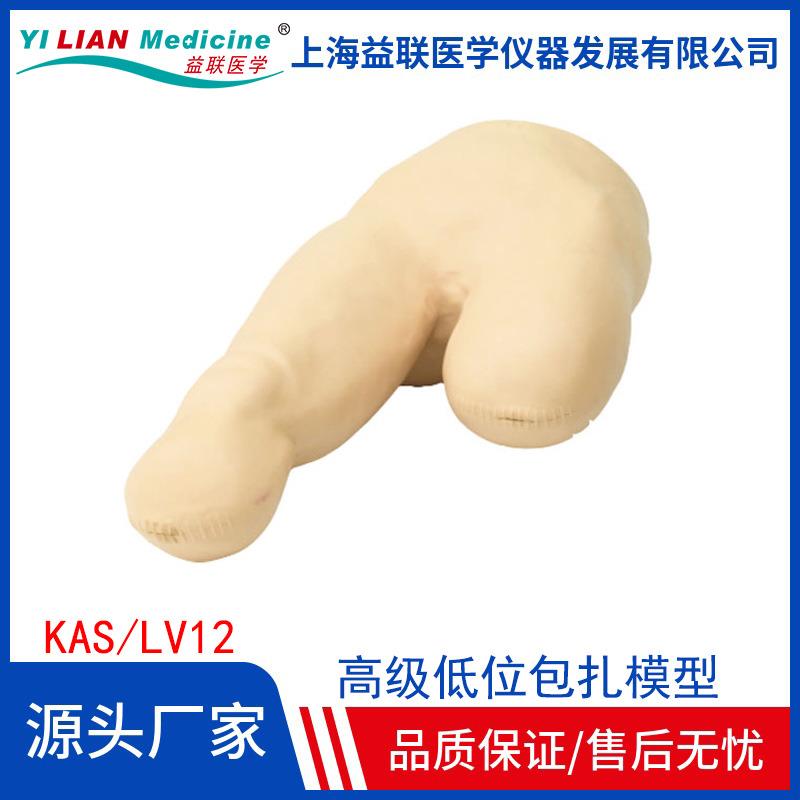 高级低位包扎模型下肢截肢模型下肢缝合包扎法训练习教学模型