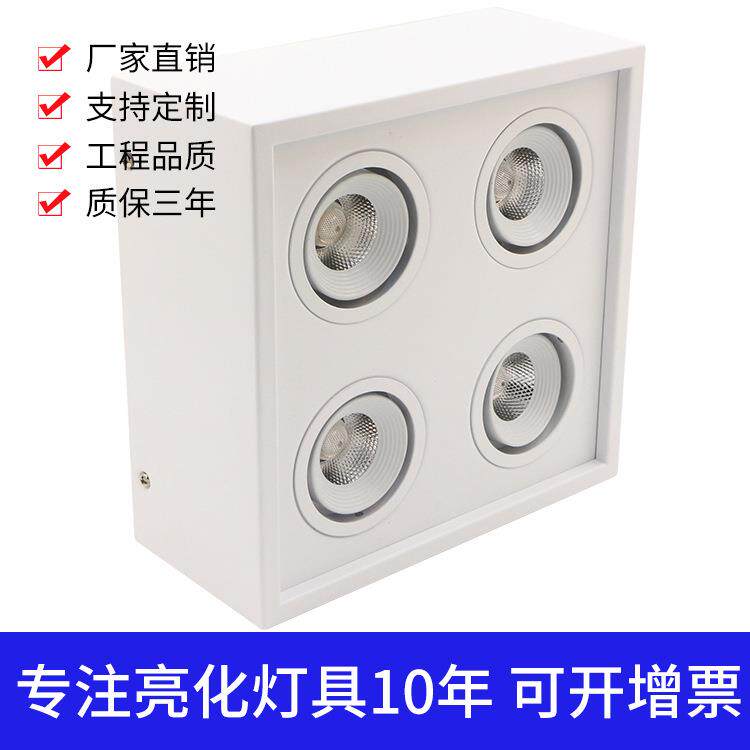 方形4头3头2头单头明装豆胆灯10W20W30W40W家具展厅商业照明专用